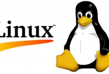 ¿Qué es software libre y Linux?