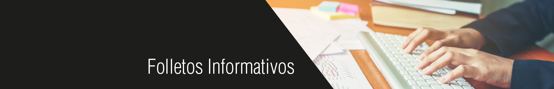 Delfín formación 2.0